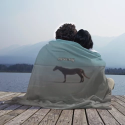 Плед 3D Лошадь почему мем на берегу - фото 2