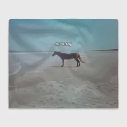 Плед 3D Лошадь почему мем на берегу