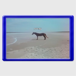 Магнит 45*70 Лошадь почему мем на берегу