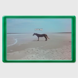 Магнит 45*70 Лошадь почему мем на берегу