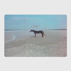 Магнитный плакат 3Х2 Лошадь почему мем на берегу