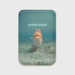 Картхолдер Magsafe магнитный Рыба  - Александр