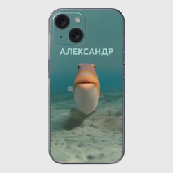 Чехол для iPhone 15 силиконовый с защитой камеры Рыба  - Александр
