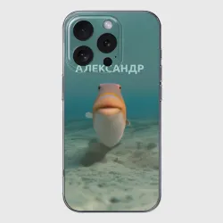 Чехол для iPhone 16 Pro Max силиконовый с защитой камеры Рыба  - Александр