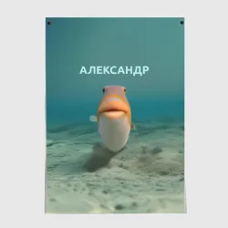 Постер Рыба  - Александр