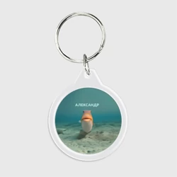 Брелок круглый Рыба  - Александр