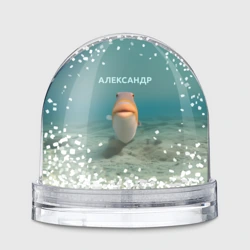 Игрушка Снежный шар Рыба  - Александр