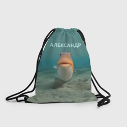 Рюкзак-мешок 3D Рыба  - Александр