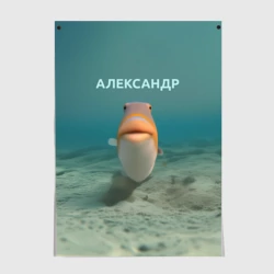 Постер Рыба  - Александр