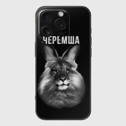 Чехол для iPhone 16 Pro Max силиконовый с защитой камеры Черемша мем