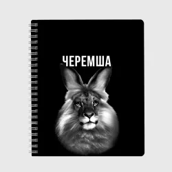 Тетрадь Черемша мем