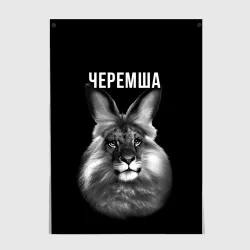 Постер Черемша мем
