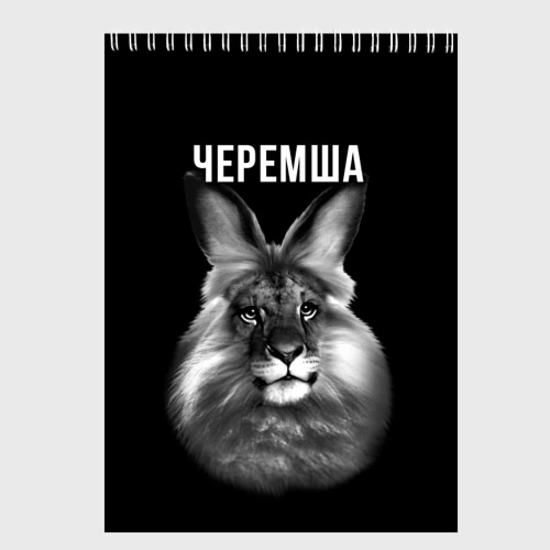 Скетчбук Черемша мем