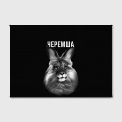 Холст прямоугольный Черемша мем - фото 2