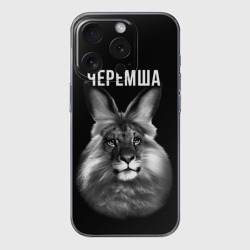 Чехол для iPhone 15 Pro Max силиконовый с защитой камеры Черемша мем