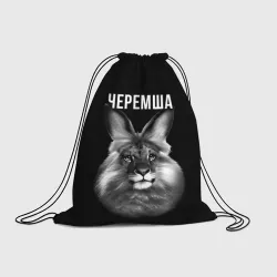 Рюкзак-мешок 3D Черемша мем
