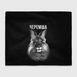 Плед 3D Черемша мем