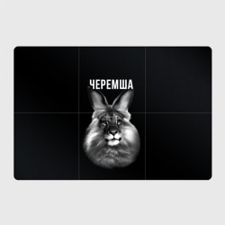 Магнитный плакат 3Х2 Черемша мем