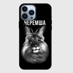 Чехол для iPhone 13 Pro Max Черемша мем