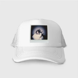 Кепка тракер с сеткой Кот бунтарь