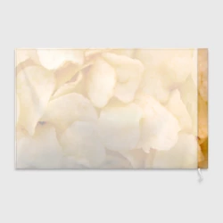 Флаг 3D Чипсы текстура - фото 2