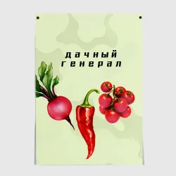 Постер Дачный генерал 