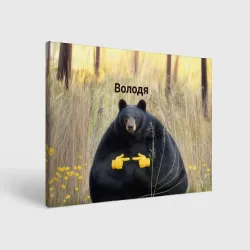 Холст прямоугольный Володя - мишка