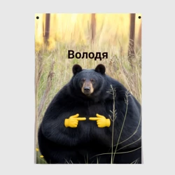 Постер Володя - мишка