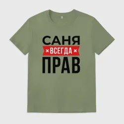 Мужская футболка хлопок Саня прав