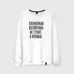 Мужской свитшот хлопок Племенная козлятина