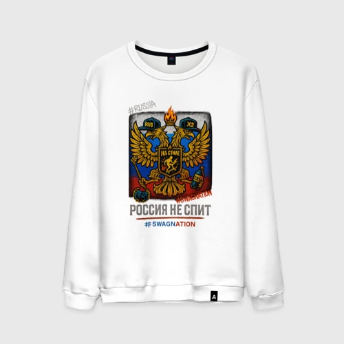 Мужской свитшот хлопок Стильная Россия swaga