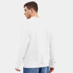 Мужской свитшот oversize без начеса хлопок Богомол среди роз - фото 4