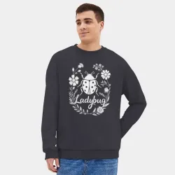 Мужской свитшот oversize без начеса хлопок Божья коровка в цветах - фото 2