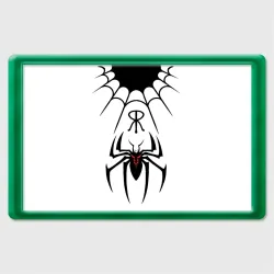 Магнит 45*70 Паук на белом - the web of Fate