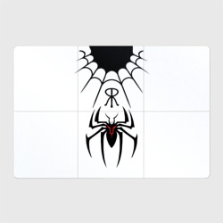 Магнитный плакат 3Х2 Паук на белом - the web of Fate