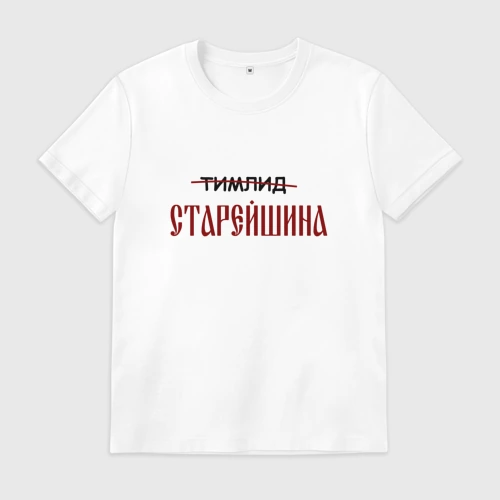 Мужская футболка хлопок Тимлид старейшина