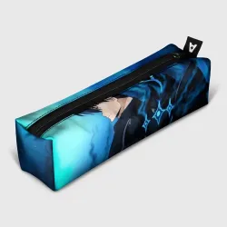 Пенал школьный 3D Соло Левеллинг