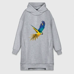 Платье-худи хлопок Попугай в полете