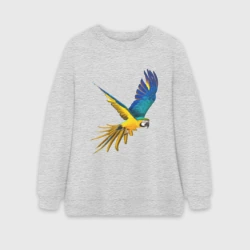 Женский свитшот oversize без начеса хлопок Попугай в полете