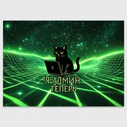 Поздравительная открытка Кот - я админ теперь
