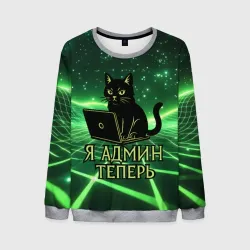 Мужской свитшот 3D Кот - я админ теперь