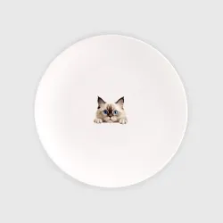 Тарелка Ragdoll cat