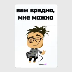Магнитный плакат 2Х3 Вам вредно программист