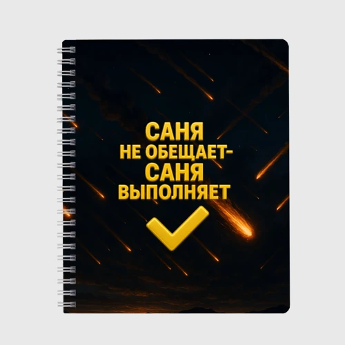 Тетрадь Саня не обещает - Саня выполняет
