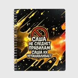 Тетрадь Саша не следует правилам - Саша их устанавливает