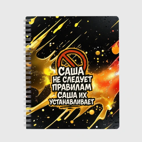 Тетрадь Саша не следует правилам - Саша их устанавливает