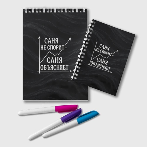 Блокнот Саня не спорит Саня объясняет