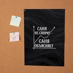 Постер Саня не спорит Саня объясняет - фото 2