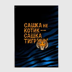 Постер Сашка не котик Сашка тигр