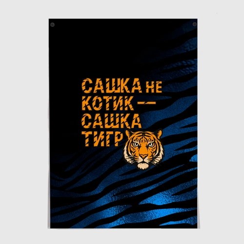 Постер Сашка не котик Сашка тигр